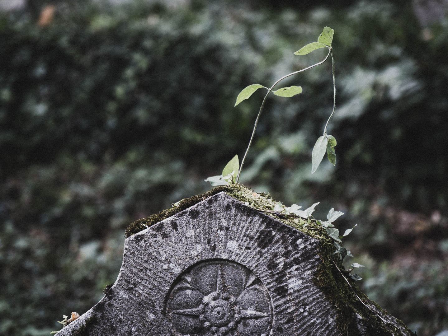 Bodenfeldem Jüdischer Friedhof